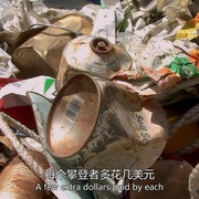 点击查看图片 珠峰清道夫 Death Zone: Cleaning Mount Everest