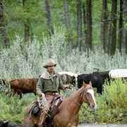 天地无限 Open Range