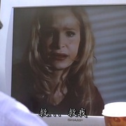 点击查看图片 罪案终结 第四季 The Closer Season 4