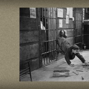 点击查看图片 船长二世 Steamboat Bill, Jr.