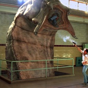 蒙古死亡蠕虫 Mongolian Death Worm