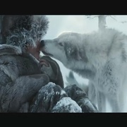 点击查看图片 狼 Loup