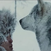 点击查看图片 狼 Loup