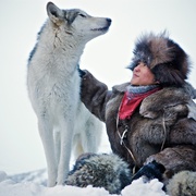 点击查看图片 狼 Loup