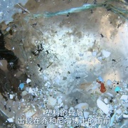 点击查看图片 塑料海洋 A Plastic Ocean