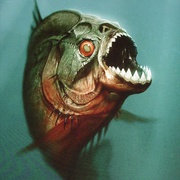 点击查看图片 食人鱼3D Piranha