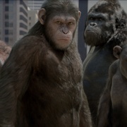 点击查看图片 猩球崛起 Rise of the Planet of the Apes
