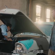 偷车 Stealing Cars