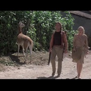 绿宝石 Romancing the Stone