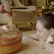 点击查看图片 租赁猫 レンタネコ
