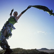 点击查看图片 沙漠妖姬 The Adventures of Priscilla, Queen of the Desert
