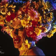 点击查看图片 沙漠妖姬 The Adventures of Priscilla, Queen of the Desert
