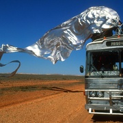 点击查看图片 沙漠妖姬 The Adventures of Priscilla, Queen of the Desert