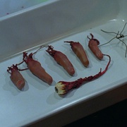 点击查看图片 活跳尸2 Bride of Re-Animator
