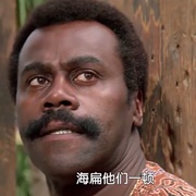 点击查看图片 全面追捕令 The Enforcer