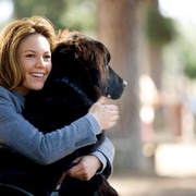征婚广告 Must Love Dogs
