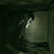 点击查看图片 死亡地穴 The Crypt