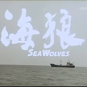 点击查看图片 海狼