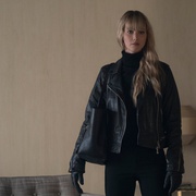点击查看图片 红雀 Red Sparrow