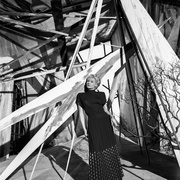 点击查看图片 上海小姐 The Lady from Shanghai