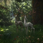 点击查看图片 湮灭 Annihilation