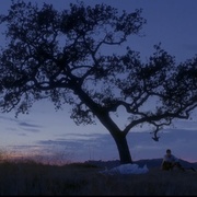点击查看图片 六尺之下 第四季 Six Feet Under Season 4