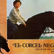 点击查看图片 黑神驹 The Black Stallion