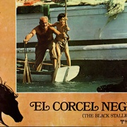 点击查看图片 黑神驹 The Black Stallion