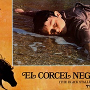 点击查看图片 黑神驹 The Black Stallion