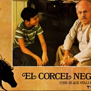 点击查看图片 黑神驹 The Black Stallion