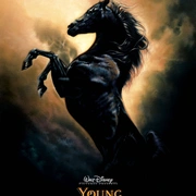 点击查看图片 小黑马 The Young Black Stallion