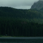 点击查看图片 自杀森林 The Forest