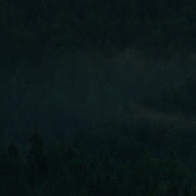 点击查看图片 自杀森林 The Forest