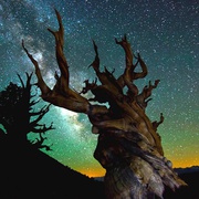 点击查看图片 时间的风景 TimeScapes