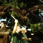群鸟：震惊和恐怖 Birdemic: Shock and Terror