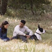点击查看图片 七磅 Seven Pounds