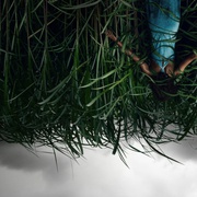 高草丛中 In the Tall Grass