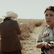 点击查看图片 德州棉花 Texas Cotton