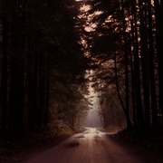 点击查看图片 双峰 第二季 Twin Peaks Season 2