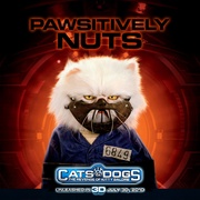点击查看图片 猫狗大战2:珍珠猫复仇 Cats & Dogs: The Revenge of Kitty Galore