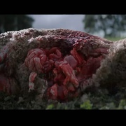 点击查看图片 狼群 The Pack