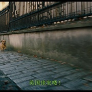 点击查看图片 加菲猫2 Garfield: A Tail of Two Kitties
