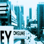 点击查看图片 极度空间 They Live