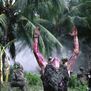 野战排 Platoon