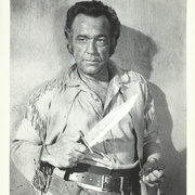 从阿拉莫来的男人 The Man From The Alamo