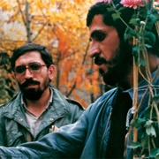 特写 نمای نزدیک