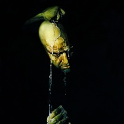 点击查看图片 现代启示录 Apocalypse Now