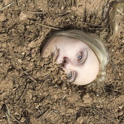 点击查看图片 神秘的地洞 The Burrowers