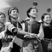 点击查看图片 五朵金花