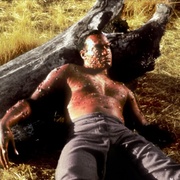 糖果人2：腥风血雨 Candyman: Farewell to the Flesh